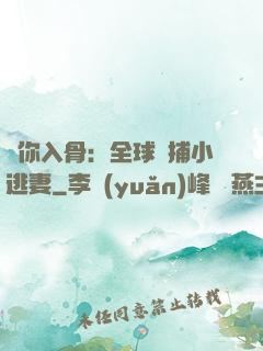 愛你入骨：全球緝捕小逃妻